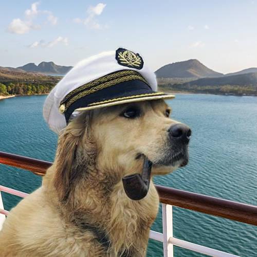 Cruise Ships That Allow Small Dogs Cruise Ships That Allow Small Dogs