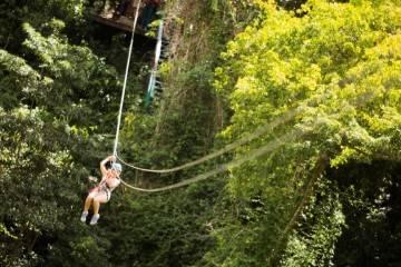 Zip lining in Antigua