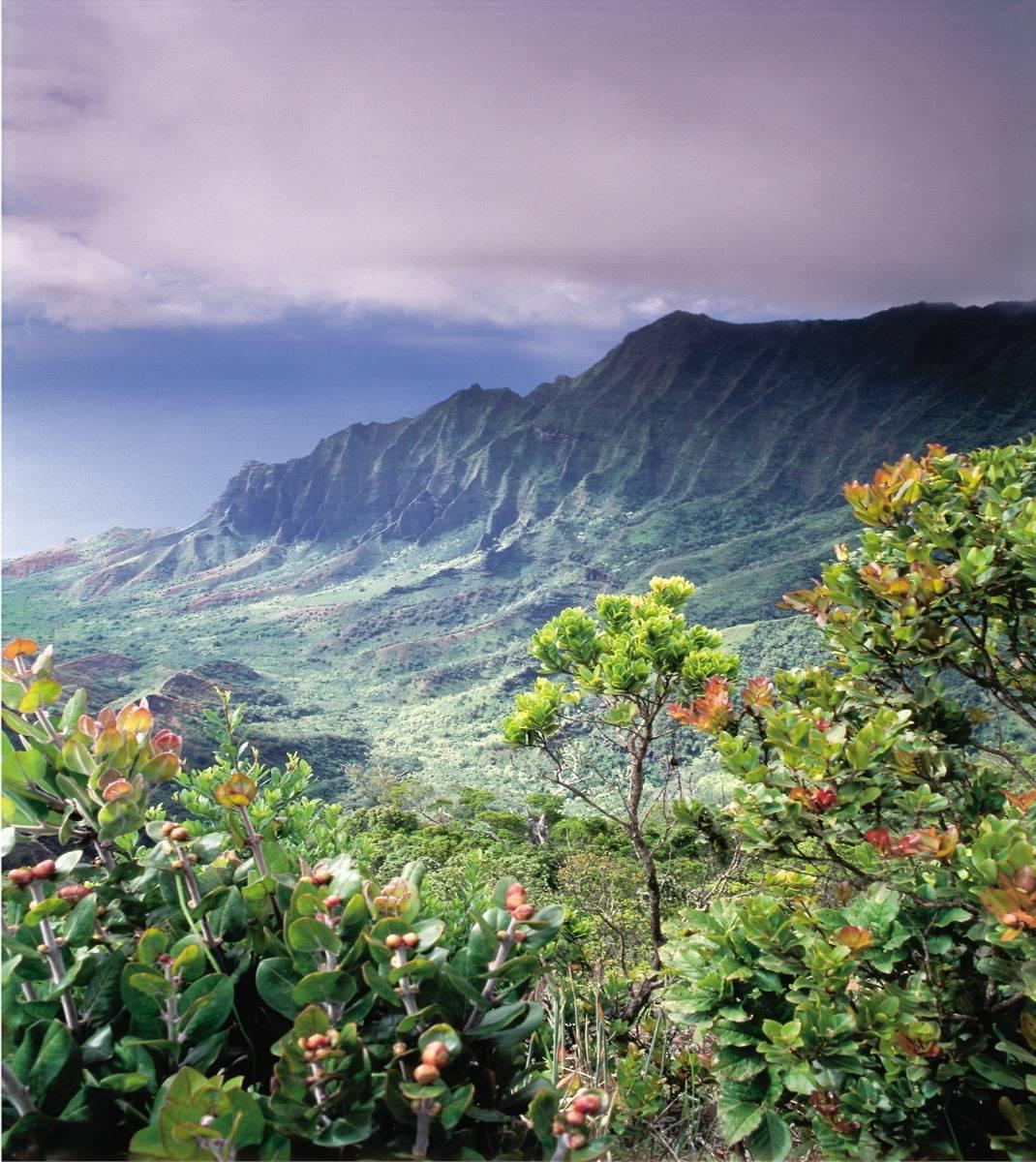 Hawaii Cruise Destination