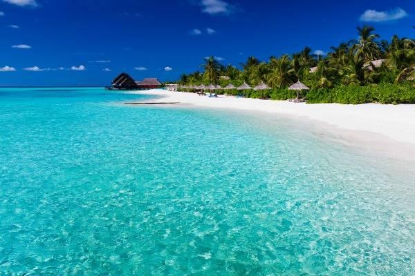 Caribbean island with white sand and palm trees