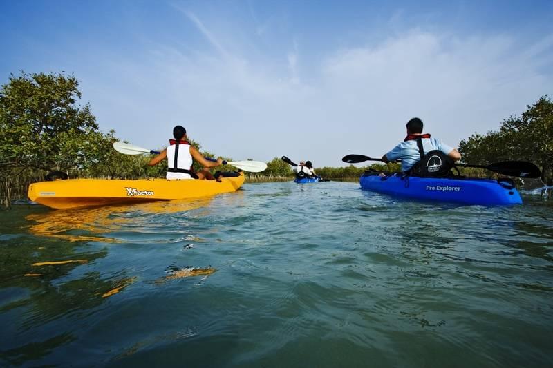 By courtesy of TCA Abu Dhabi United Arab Emirates, Sir Bani Yas Island