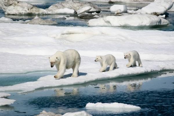 Crystal Cruises Northwestern Passage