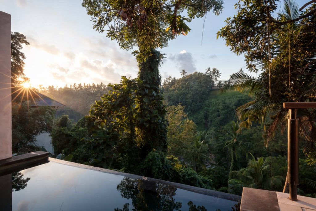 Jungle sunrise in Ubud, Bali, Indoniesia