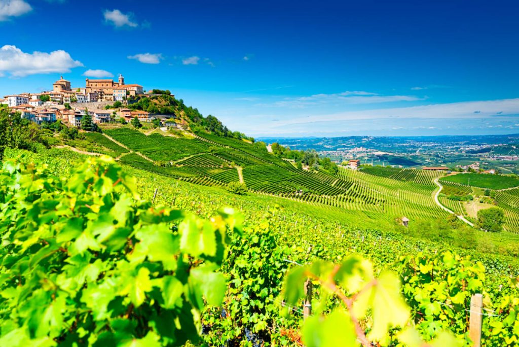 Barolo vineyards, Italy