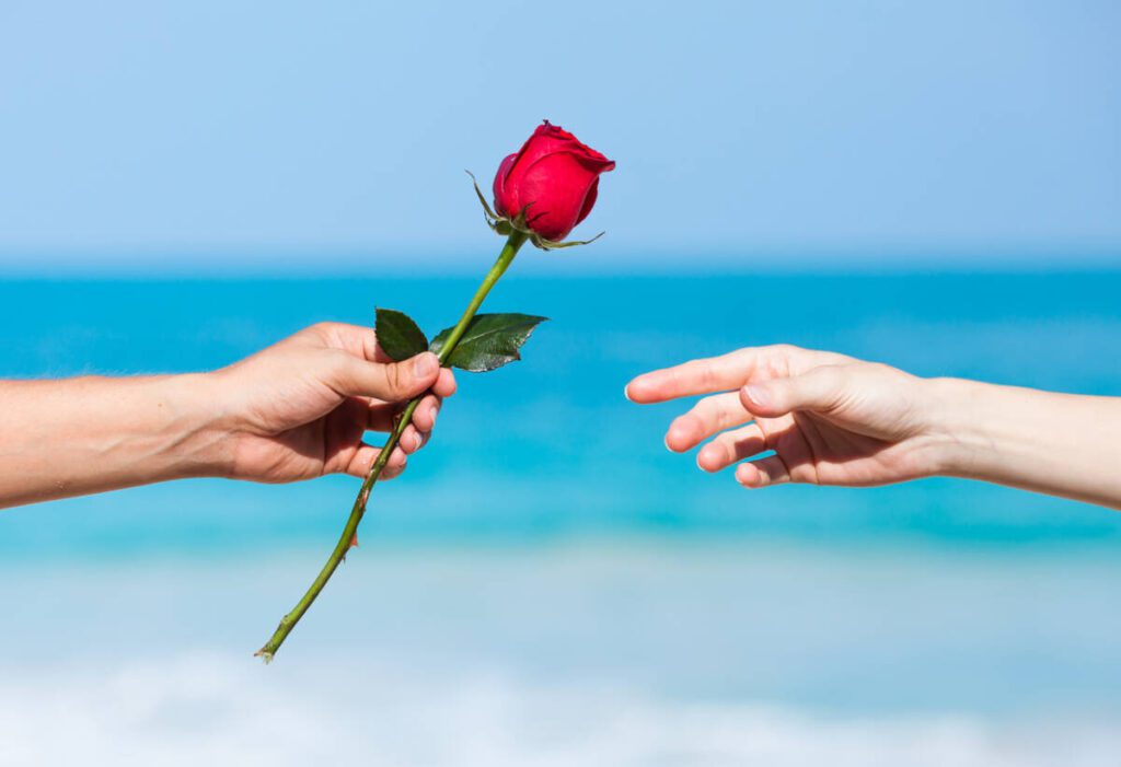 Close up image of a man giving a woman rose at the beach.