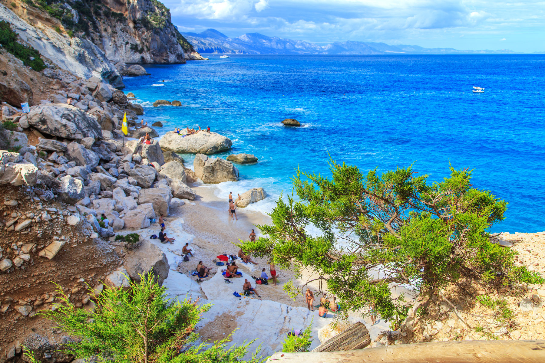 March 2025 2025 Cruise Deals and Holidays Cruise Nation